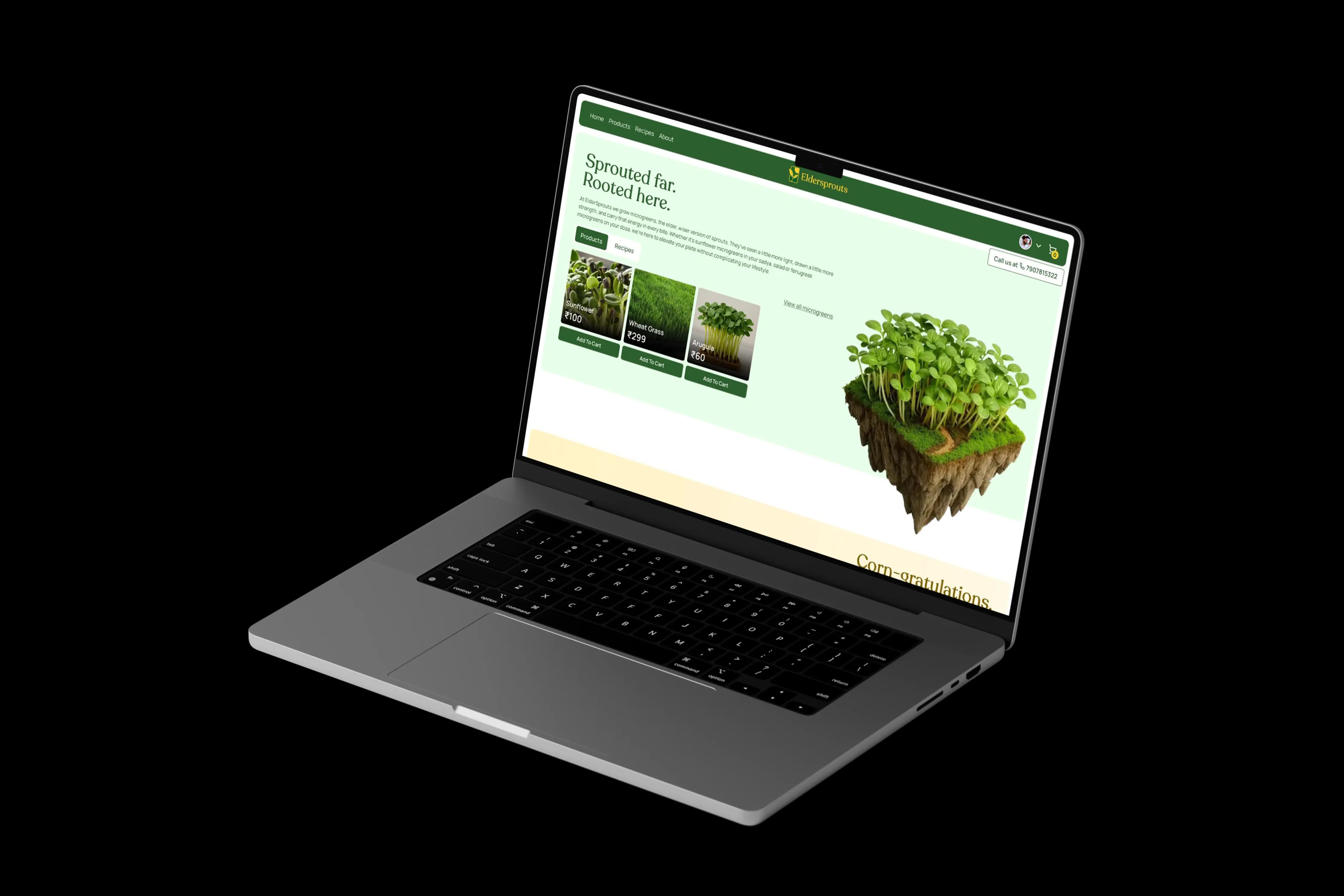 Eldersprouts