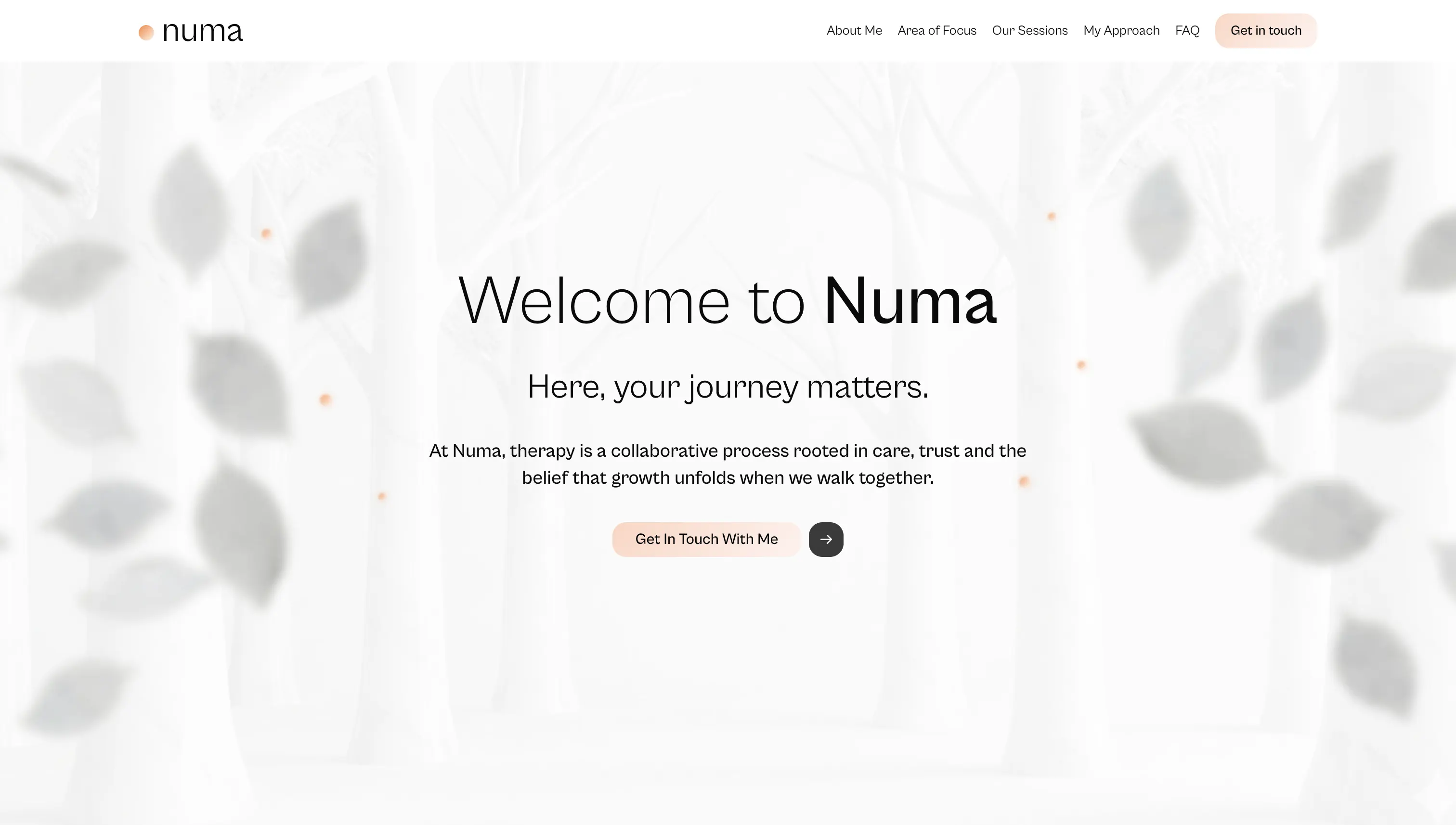 Numa mobile preview